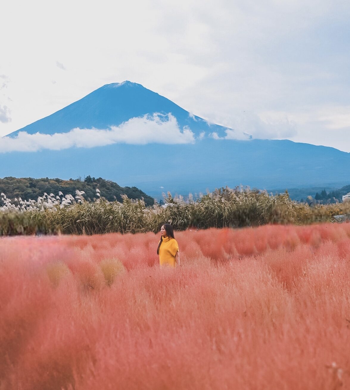 The Best Mt. Fuji Photo Spots